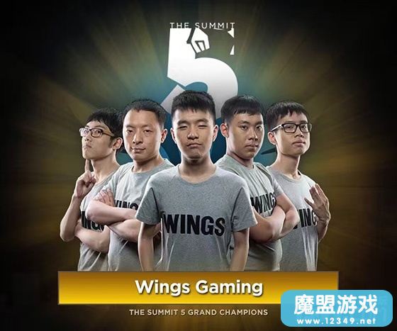 Wings���TS5�۷�����