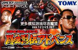 ձְҵˤ-Ҵ  (Shin Nihon Pro Wrestling Toukon Retsuden Advance)