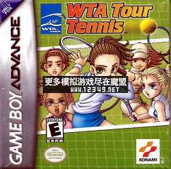 ʵŮ-ڴ(WTA Tour Tennis )