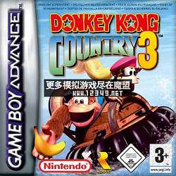 3  (Donkey Kong Country 3)