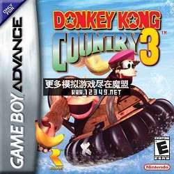 3 (Donkey Kong Country 3 )