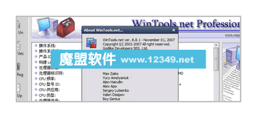 WinTools.netProfessional(ϵͳŻר)ɫV8.8.1