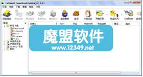 InternetDownloadManager5.15.02Ļװ