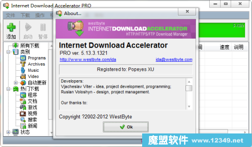 Internet Download Accelerator V5.13.3.1321�ƽ��
