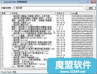 p2psearcher�ս���p2psearcher ��Դ������4.0ȥ�����ɫ��