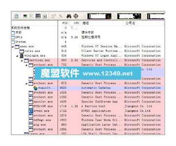 ProcessExplorerV10.20ǿɫ