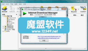 ٶInternetDownloadManager5.19Build3װ
