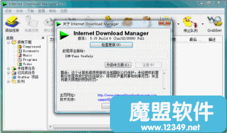 InternetDownloadManager5.16.02ɫٶȴ5